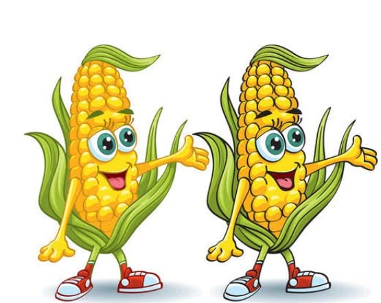 Corn Roast July 26th